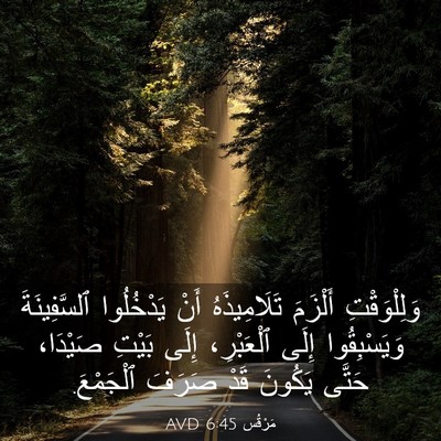 Picture 03 - مَرْقُس 6:45 AVD - وَلِلْوَقْتِ أَلْزَمَ - Bible Verse Picture