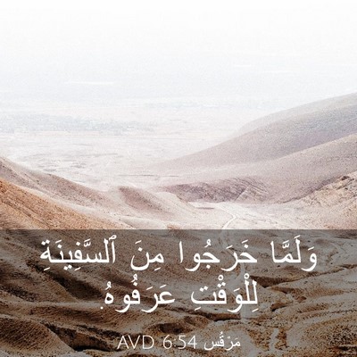 Picture 03 - مَرْقُس 6:54 AVD - وَلَمَّا خَرَجُوا مِنَ - Bible Verse Picture