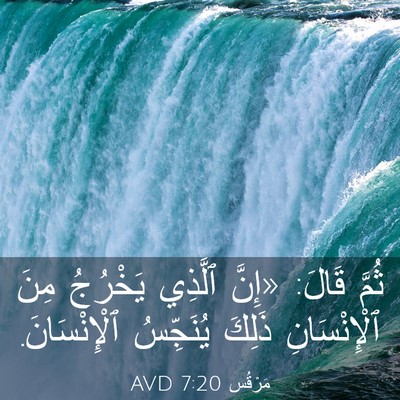 Picture 03 - مَرْقُس 7:20 AVD - ثُمَّ قَالَ: «إِنَّ - Bible Verse Picture