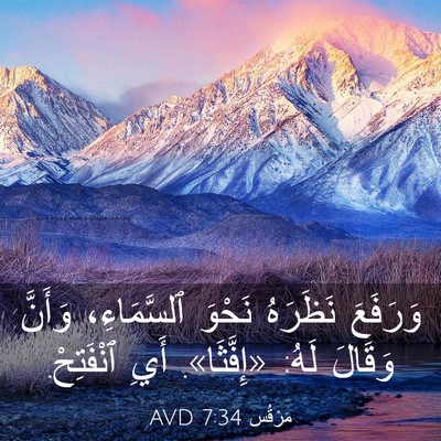 Picture 03 - مَرْقُس 7:34 AVD - وَرَفَعَ نَظَرَهُ نَحْوَ - Bible Verse Picture