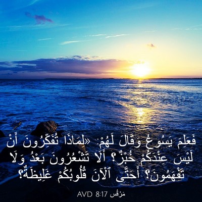Picture 03 - مَرْقُس 8:17 AVD - فَعَلِمَ يَسُوعُ وَقَالَ - Bible Verse Picture