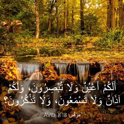 Picture 03 - مَرْقُس 8:18 AVD - أَلَكُمْ أَعْيُنٌ وَلَا - Bible Verse Picture