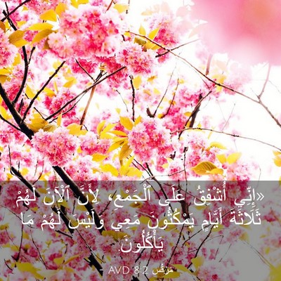 Picture 03 - مَرْقُس 8:2 AVD - «إِنِّي أُشْفِقُ عَلَى - Bible Verse Picture