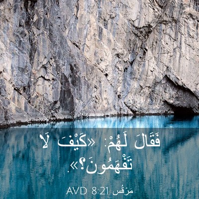 Picture 03 - مَرْقُس 8:21 AVD - فَقَالَ لَهُمْ: «كَيْفَ - Bible Verse Picture