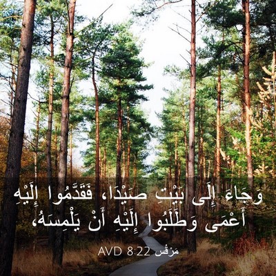 Picture 03 - مَرْقُس 8:22 AVD - وَجَاءَ إِلَى بَيْتِ - Bible Verse Picture