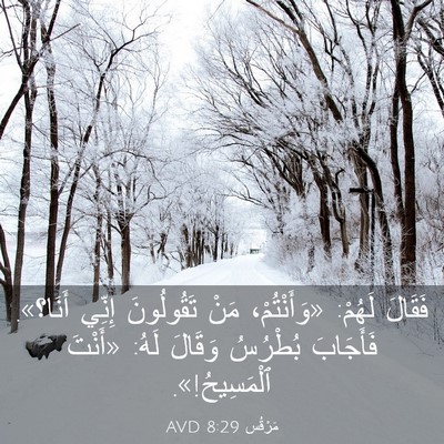 Picture 03 - مَرْقُس 8:29 AVD - فَقَالَ لَهُمْ: - Bible Verse Picture