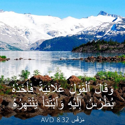 Picture 03 - مَرْقُس 8:32 AVD - وَقَالَ ٱلْقَوْلَ - Bible Verse Picture