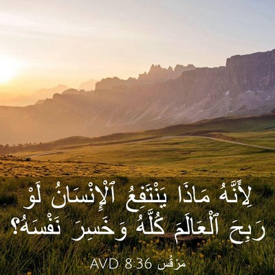 Picture 03 - مَرْقُس 8:36 AVD - لِأَنَّهُ مَاذَا - Bible Verse Picture