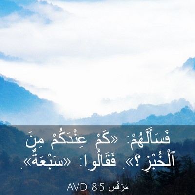 Picture 03 - مَرْقُس 8:5 AVD - فَسَأَلَهُمْ: «كَمْ - Bible Verse Picture