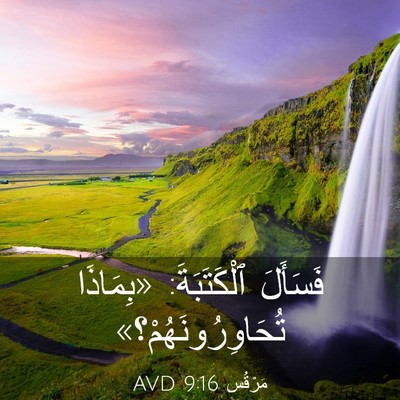 Picture 03 - مَرْقُس 9:16 AVD - فَسَأَلَ ٱلْكَتَبَةَ: - Bible Verse Picture