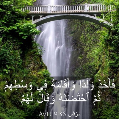 Picture 03 - مَرْقُس 9:36 AVD - فَأَخَذَ وَلَدًا - Bible Verse Picture