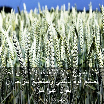 Picture 03 - مَرْقُس 9:39 AVD - فَقَالَ يَسُوعُ: «لَا - Bible Verse Picture