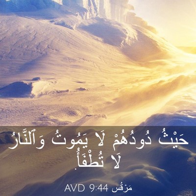 Picture 03 - مَرْقُس 9:44 AVD - حَيْثُ دُودُهُمْ لَا - Bible Verse Picture