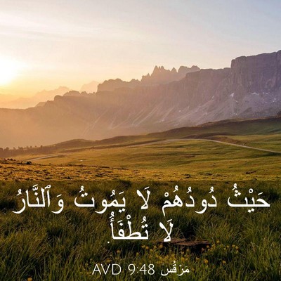 Picture 03 - مَرْقُس 9:48 AVD - حَيْثُ دُودُهُمْ لَا - Bible Verse Picture