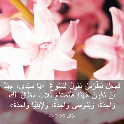 Picture 03 - مَرْقُس 9:5 AVD - فَجَعَلَ بُطْرُسُ يَقولُ - Bible Verse Picture