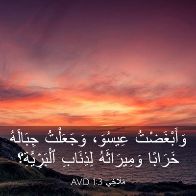 Picture 03 - مَلَاخِي 1:3 AVD - وَأَبْغَضْتُ عِيسُوَ، - Bible Verse Picture