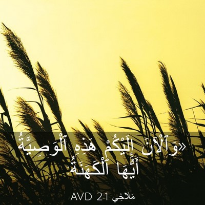 Picture 03 - مَلَاخِي 2:1 AVD - «وَٱلْآنَ إِلَيْكُمْ - Bible Verse Picture