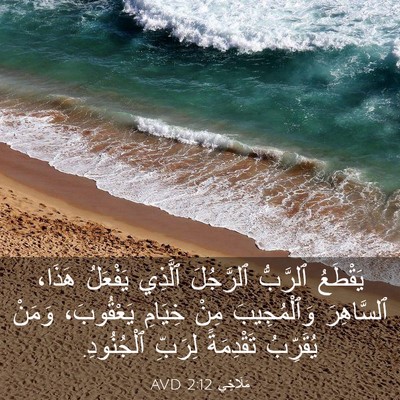 Picture 03 - مَلَاخِي 2:12 AVD - يَقْطَعُ ٱلرَّبُّ - Bible Verse Picture