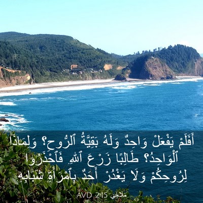 Picture 03 - مَلَاخِي 2:15 AVD - أَفَلَمْ يَفْعَلْ وَاحِدٌ - Bible Verse Picture