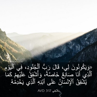 Picture 03 - مَلَاخِي 3:17 AVD - «وَيَكُونُونَ لِي، قَالَ - Bible Verse Picture