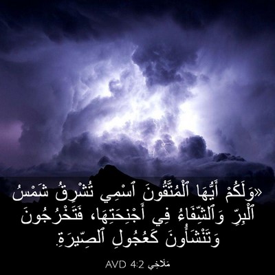 Picture 03 - مَلَاخِي 4:2 AVD - «وَلَكُمْ أَيُّهَا - Bible Verse Picture