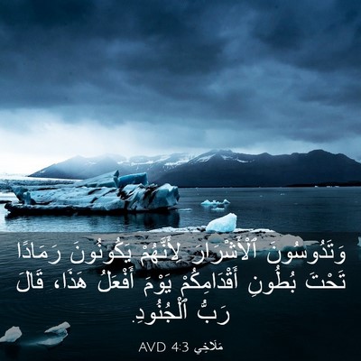 Picture 03 - مَلَاخِي 4:3 AVD - وَتَدُوسُونَ ٱلْأَشْرَارَ - Bible Verse Picture