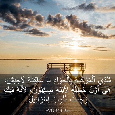 Picture 03 - مِيخَا 1:13 AVD - شُدِّي ٱلْمَرْكَبَةَ - Bible Verse Picture