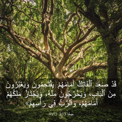 Picture 03 - مِيخَا 2:13 AVD - قَدْ صَعِدَ ٱلْفَاتِكُ - Bible Verse Picture