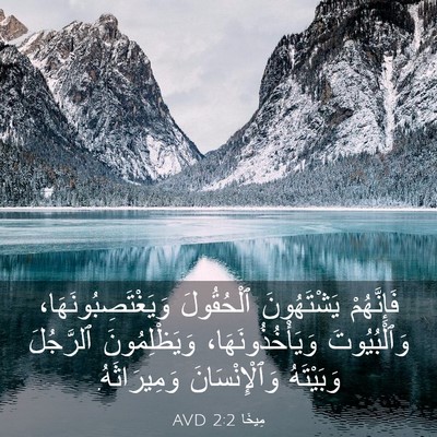 Picture 03 - مِيخَا 2:2 AVD - فَإِنَّهُمْ يَشْتَهُونَ - Bible Verse Picture