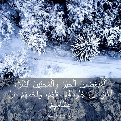 Picture 03 - مِيخَا 3:2 AVD - ٱلْمُبْغِضِينَ ٱلْخَيْرَ - Bible Verse Picture