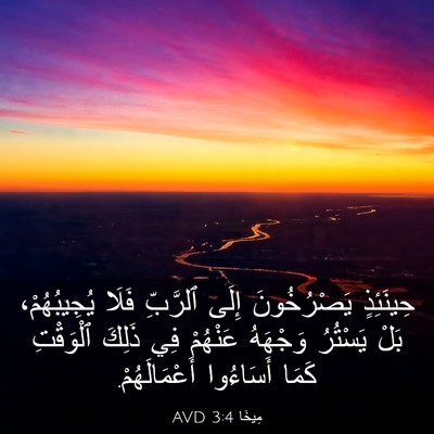 Picture 03 - مِيخَا 3:4 AVD - حِينَئِذٍ يَصْرُخُونَ - Bible Verse Picture
