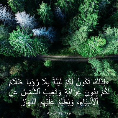 Picture 03 - مِيخَا 3:6 AVD - «لِذَلِكَ تَكُونُ لَكُمْ - Bible Verse Picture