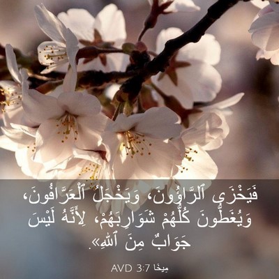 Picture 03 - مِيخَا 3:7 AVD - فَيَخْزَى ٱلرَّاؤُونَ، - Bible Verse Picture