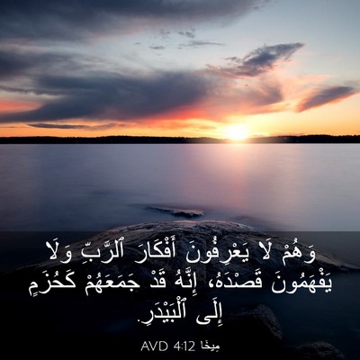 Picture 03 - مِيخَا 4:12 AVD - وَهُمْ لَا يَعْرِفُونَ - Bible Verse Picture