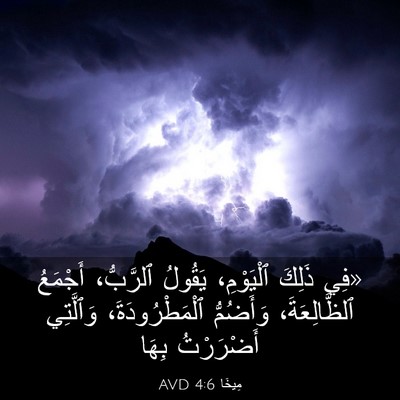 Picture 03 - مِيخَا 4:6 AVD - «فِي ذَلِكَ ٱلْيَوْمِ، - Bible Verse Picture