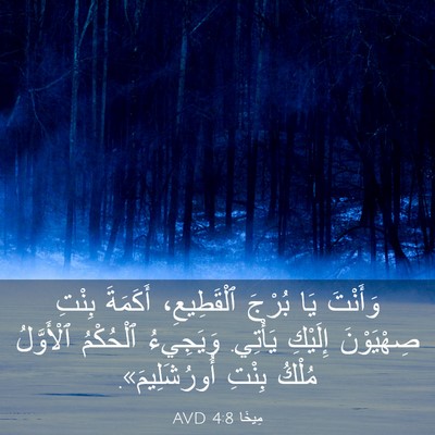 Picture 03 - مِيخَا 4:8 AVD - وَأَنْتَ يَا بُرْجَ - Bible Verse Picture