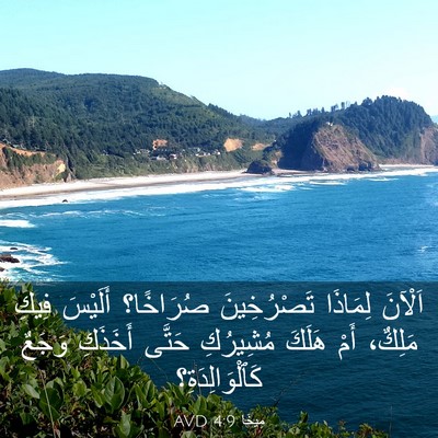 Picture 03 - مِيخَا 4:9 AVD - اَلْآنَ لِمَاذَا - Bible Verse Picture