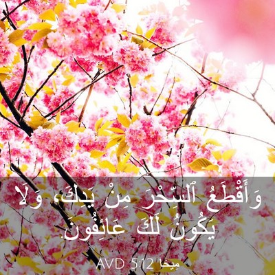 Picture 03 - مِيخَا 5:12 AVD - وَأَقْطَعُ ٱلسِّحْرَ مِنْ - Bible Verse Picture