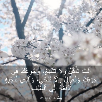 Picture 03 - مِيخَا 6:14 AVD - أَنْتَ تَأْكُلُ وَلَا - Bible Verse Picture