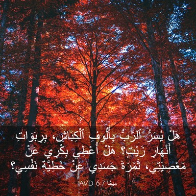Picture 03 - مِيخَا 6:7 AVD - هَلْ يُسَرُّ ٱلرَّبُّ - Bible Verse Picture