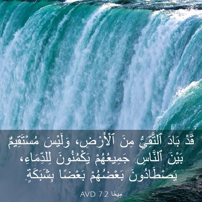 Picture 03 - مِيخَا 7:2 AVD - قَدْ بَادَ ٱلتَّقِيُّ مِنَ - Bible Verse Picture