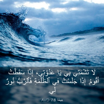 Picture 03 - مِيخَا 7:8 AVD - لَا تَشْمَتِي بِي يَا - Bible Verse Picture