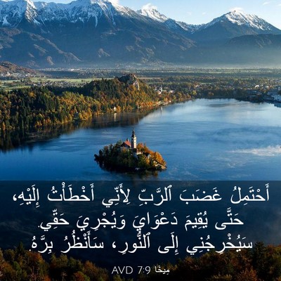 Picture 03 - مِيخَا 7:9 AVD - أَحْتَمِلُ غَضَبَ - Bible Verse Picture