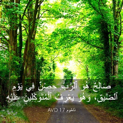 Picture 03 - نَاحُوم 1:7 AVD - صَالِحٌ هُوَ ٱلرَّبُّ. - Bible Verse Picture