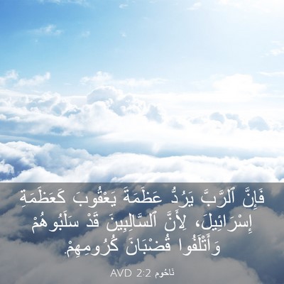 Picture 03 - نَاحُوم 2:2 AVD - فَإِنَّ ٱلرَّبَّ يَرُدُّ - Bible Verse Picture