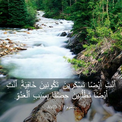 Picture 03 - نَاحُوم 3:11 AVD - أَنْتِ أَيْضًا - Bible Verse Picture