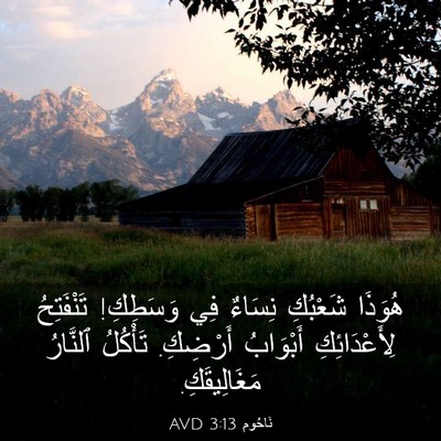 Picture 03 - نَاحُوم 3:13 AVD - هُوَذَا شَعْبُكِ نِسَاءٌ - Bible Verse Picture