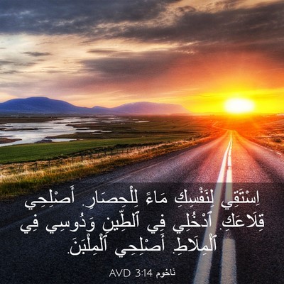 Picture 03 - نَاحُوم 3:14 AVD - اِسْتَقِي لِنَفْسِكِ - Bible Verse Picture