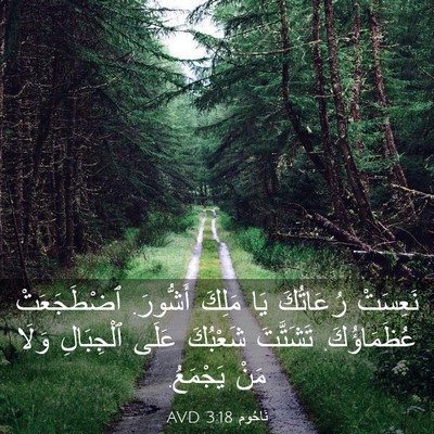 Picture 03 - نَاحُوم 3:18 AVD - نَعِسَتْ رُعَاتُكَ يَا - Bible Verse Picture