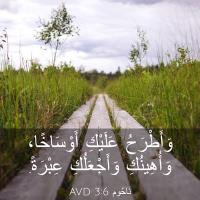 Picture 03 - نَاحُوم 3:6 AVD - وَأَطْرَحُ عَلَيْكِ - Bible Verse Picture